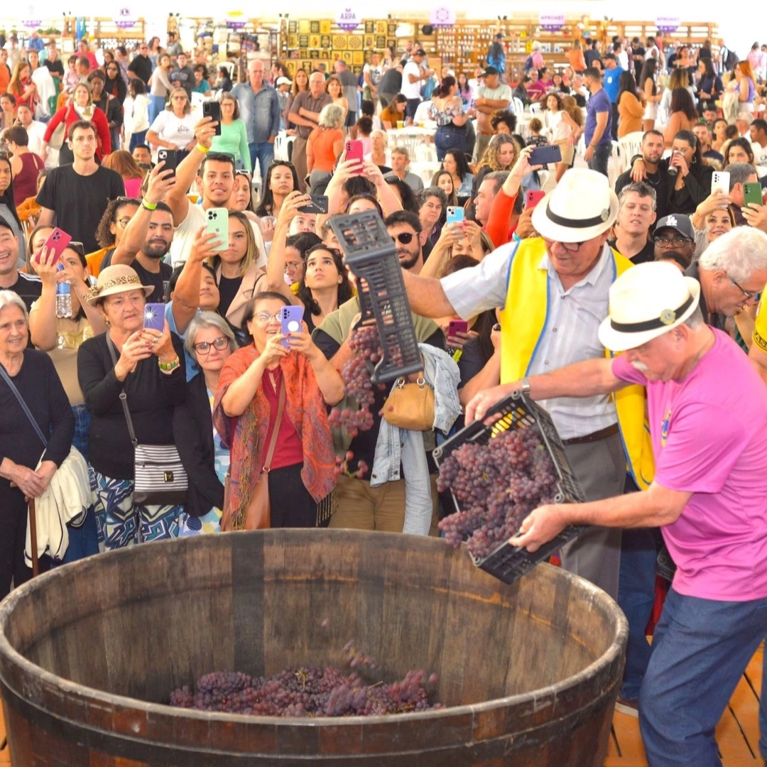 Santa Teresa lidera produção de vinhos no ES e se prepara para a 25ª Festa do Vinho e da Uva