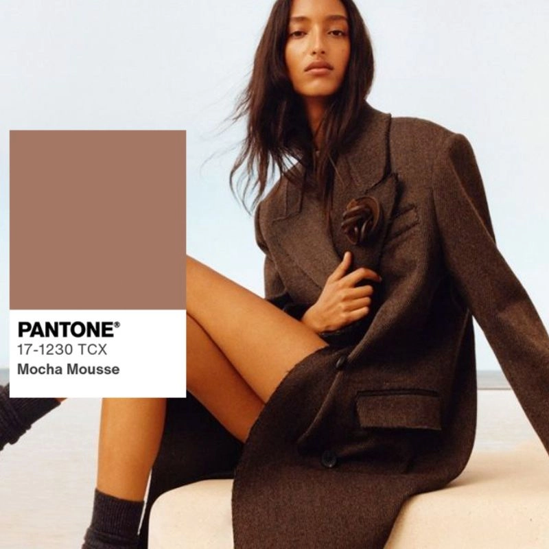 Cor Pantone de 2025 é Mocha Mousse; veja como usá-la