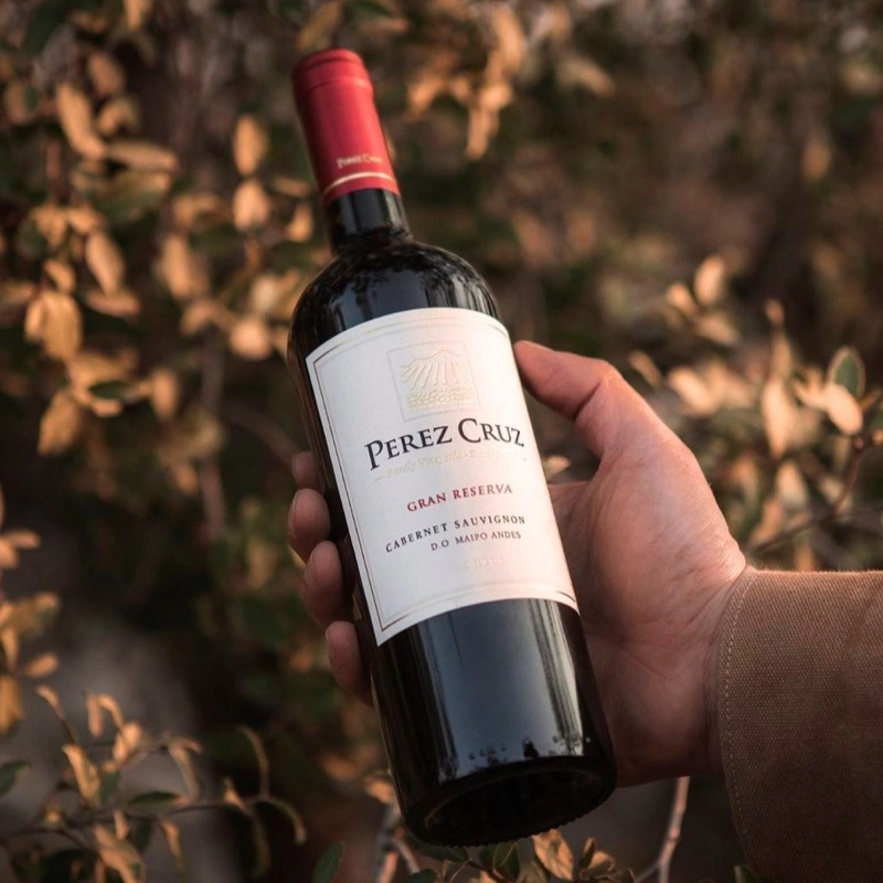 Vinho queridinho dos capixabas Pérez Cruz é eleito o segundo melhor Cabernet Sauvignon do mundo